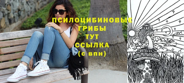 метадон Осташков