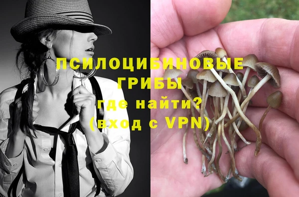 прущая мука Осинники