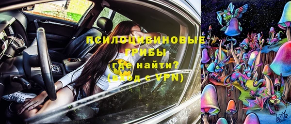 прущая мука Осинники