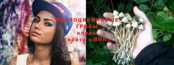 ALPHA-PVP Остров