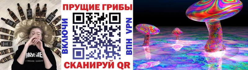 Купить где  Собинка  Галлюциногенные грибы прущие грибы 